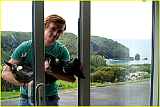 Cornwall Tourism Magazine - Doggy holidays in Cornwall - Mullion Cove Hotel - Copyright - Ed Stone Web Design